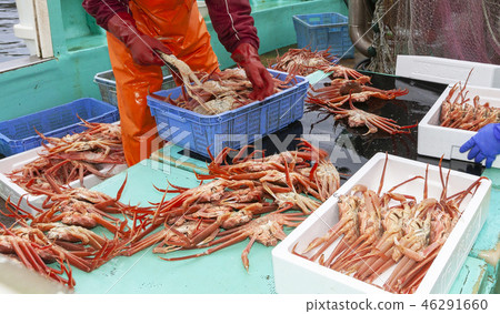 Snow crab fishing 46291660