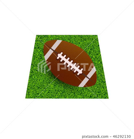 rugby ball on the field rugby ball on the field 46292130