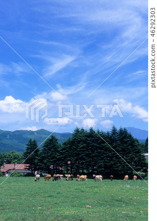 Blue Sky and Ranch Blue Sky and Ranch 46292303