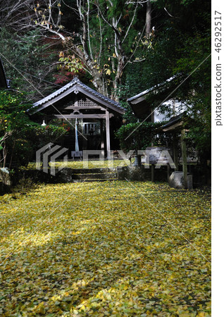 戒長萬億 戒長萬億 46292517