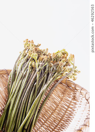 Warabi Sansai日本素材圖片素材 46292563