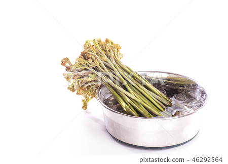 Warabi Sansai Japanese material image material 46292564