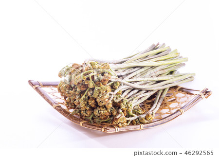 Warabi Sansai日本素材圖片素材 46292565