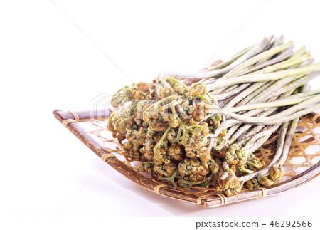 Warabi Sansai Japanese material image material Warabi Sansai Japanese material image material 46292566