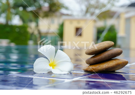 Plumeria flowers on a tile floor 46292675