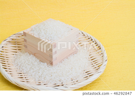 Rice 46292847