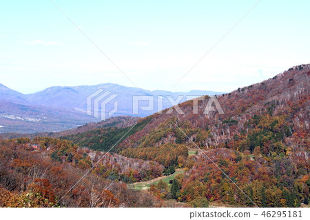 Fall of the Murao plateau (Nagano) Fall of the Murao plateau (Nagano) 46295181