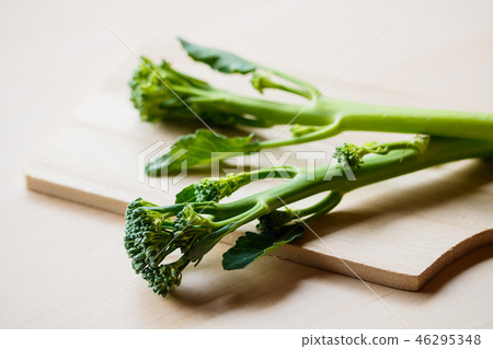 幹西蘭花 46295348