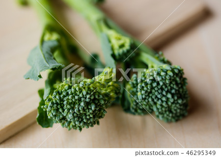 幹西蘭花 46295349