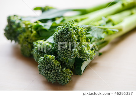 幹西蘭花 46295357