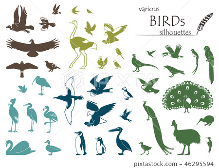 Silhouette material collection of birds 46295594