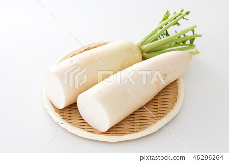 日本蘿蔔 46296264