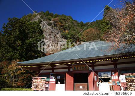山 46296609