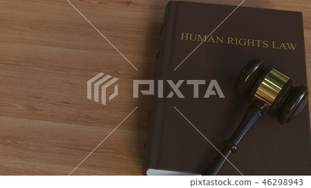 Court gavel on HUMAN RIGHTS LAW book. Conceptual 3D rendering 46298943