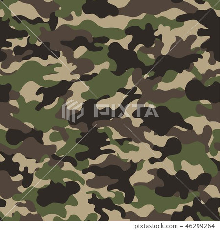  Camouflage pattern - seamless 46299264
