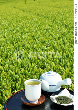新鮮的綠茶種植園和新鮮的綠茶 46299321