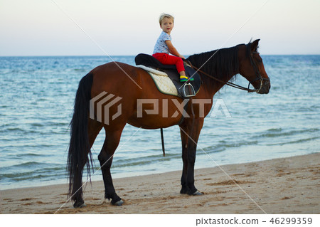A boy on horseback rides on the beach. Cute little boy looking at camera. A boy on horseback rides on the beach. Cute little boy looking at camera. 46299359