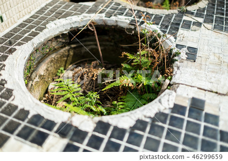 Nozaki Island (Nagasaki Prefecture)-Abandoned 46299659