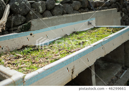 Nozaki Island (Nagasaki Prefecture)-Abandoned 46299661