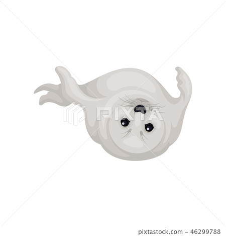 Adorable white seal lying upside down with flippers up. Cute marine mammal. Arctic animal. Flat 46299788