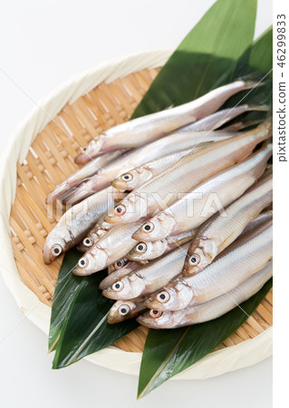 冶煉 冶煉 46299833