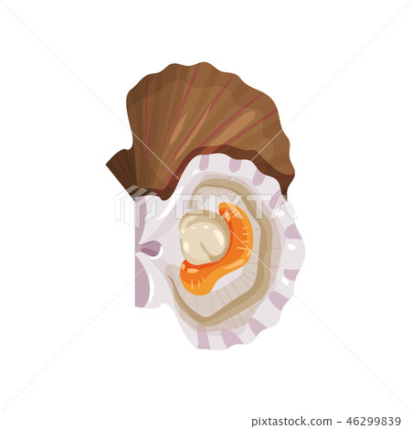 Detailed flat vector icon of open scallop. Edible marine mollusk. Tasty sea product. Seafood theme Detailed flat vector icon of open scallop. Edible marine mollusk. Tasty sea product. Seafood theme 46299839