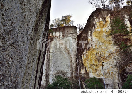 Otani Peace Kannon 46300874