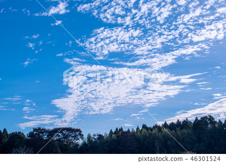 秋天的天空 秋天的天空 46301524