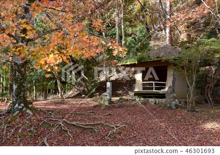 Yoshino Mountain Yoshino Mountain 46301693