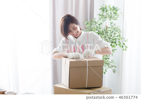 Moving / Cleaning / Housewife 46301774