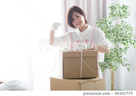 Moving / Cleaning / Housewife 46301775