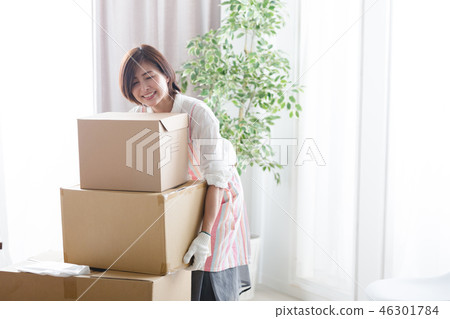 Moving / Cleaning / Housewife 46301784