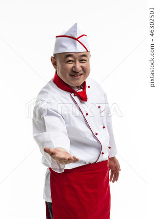 Cook 46302501