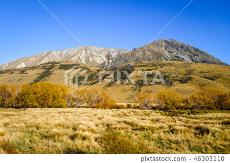 Mountain fields landscape in New Zealand Mountain fields landscape in New Zealand 46303110