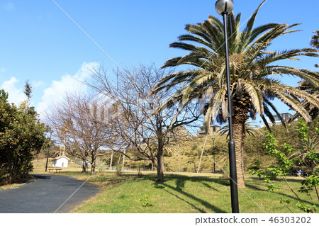 Shonan Sajima Nagisa no Oka 46303202