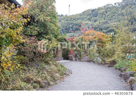 日本 國家指定名勝 血之池地獄溫泉 chinoike jigoku blood pond hell 46303678