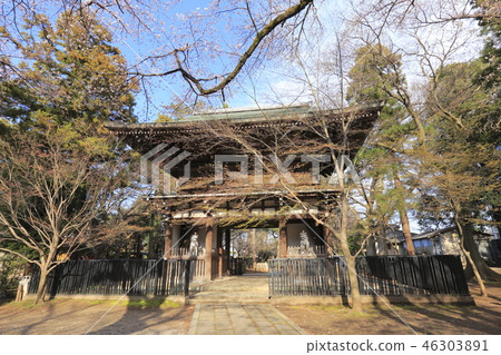 Toso-ji Temple（Niomon）的三門和千葉縣的Sakura Matsudo市 46303891