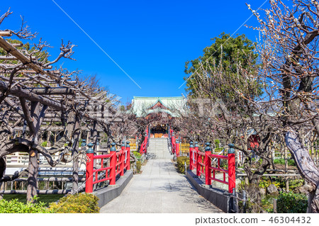 Tokyo Kameido Tenjin in early spring 46304432