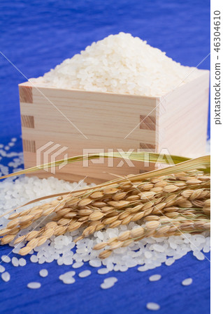 Rice Rice 46304610