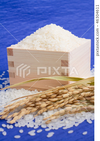 Rice Rice 46304611