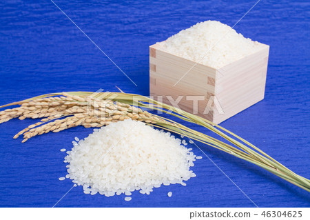 飯 46304625
