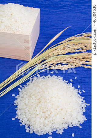 Rice Rice 46304630