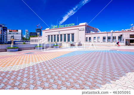 Around Tokyo Ueno Station Main Entrance 46305091