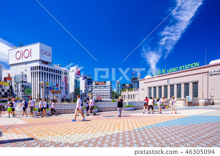 在東京上野站主入口附近 46305094