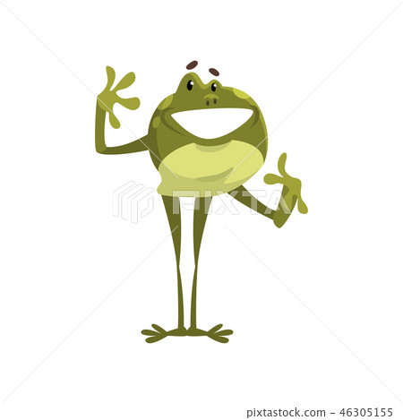 Green funny smiling frog amfibian animal cartoon character vector Illustration on a white background 46305155