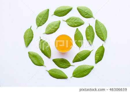 Glass of fresh orange juice with green leaves Glass of fresh orange juice with green leaves 46306639