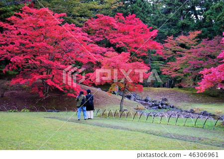 Hikikoshiji in autumn Hikikoshiji in autumn 46306961