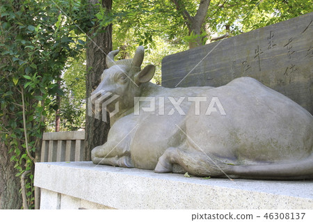 Ushijima Shrine Mukojima, Sumida-ku, Tokyo 46308137