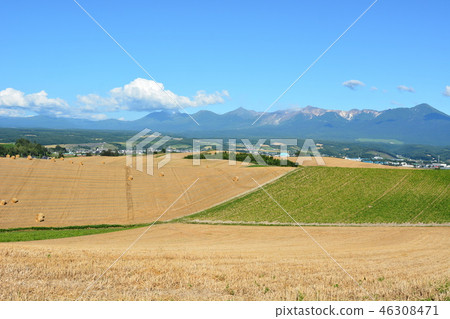 Tokachidake mountain range and pasture Tokachidake mountain range and pasture 46308471