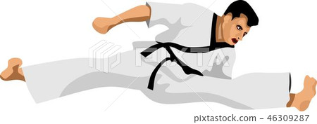 Butterfly Kick Two Sides Kick Asian Martial Art Butterfly Kick Two Sides Kick Asian Martial Art 46309287